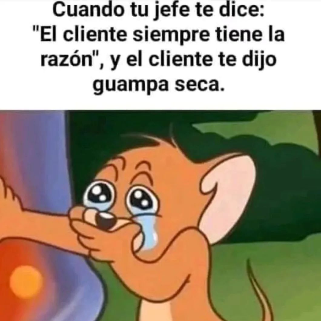 Cuando tu jefe te dice: "El cliente siempre tiene la razón", y el cliente te dijo guampa seca.