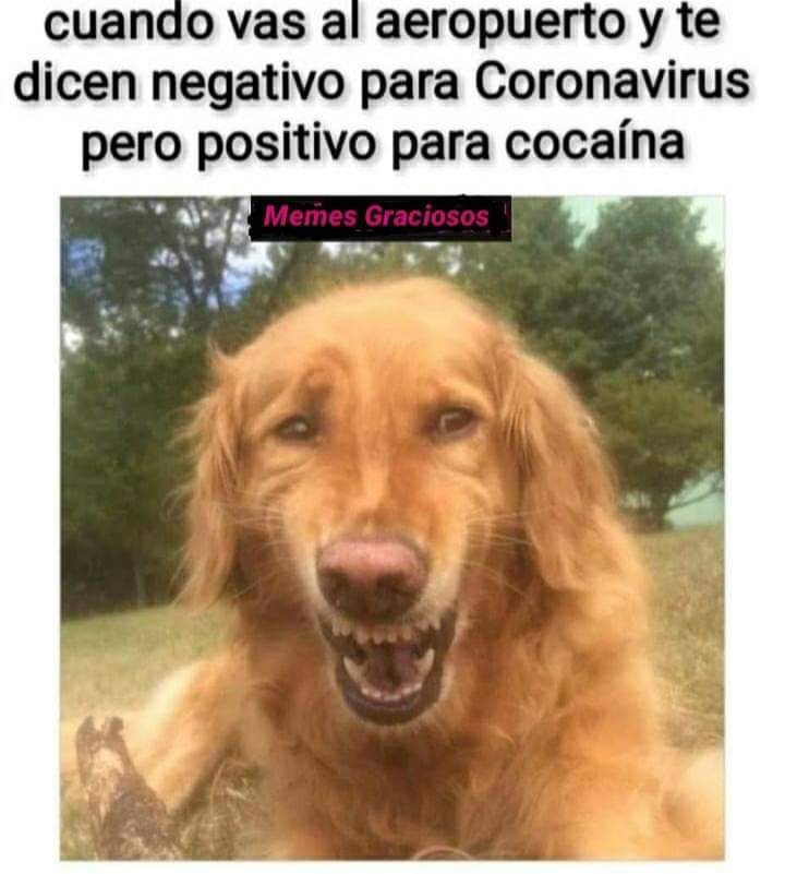 Cuando vas al aeropuerto y te dicen negativo para Coronavirus pero positivo para cocaína.