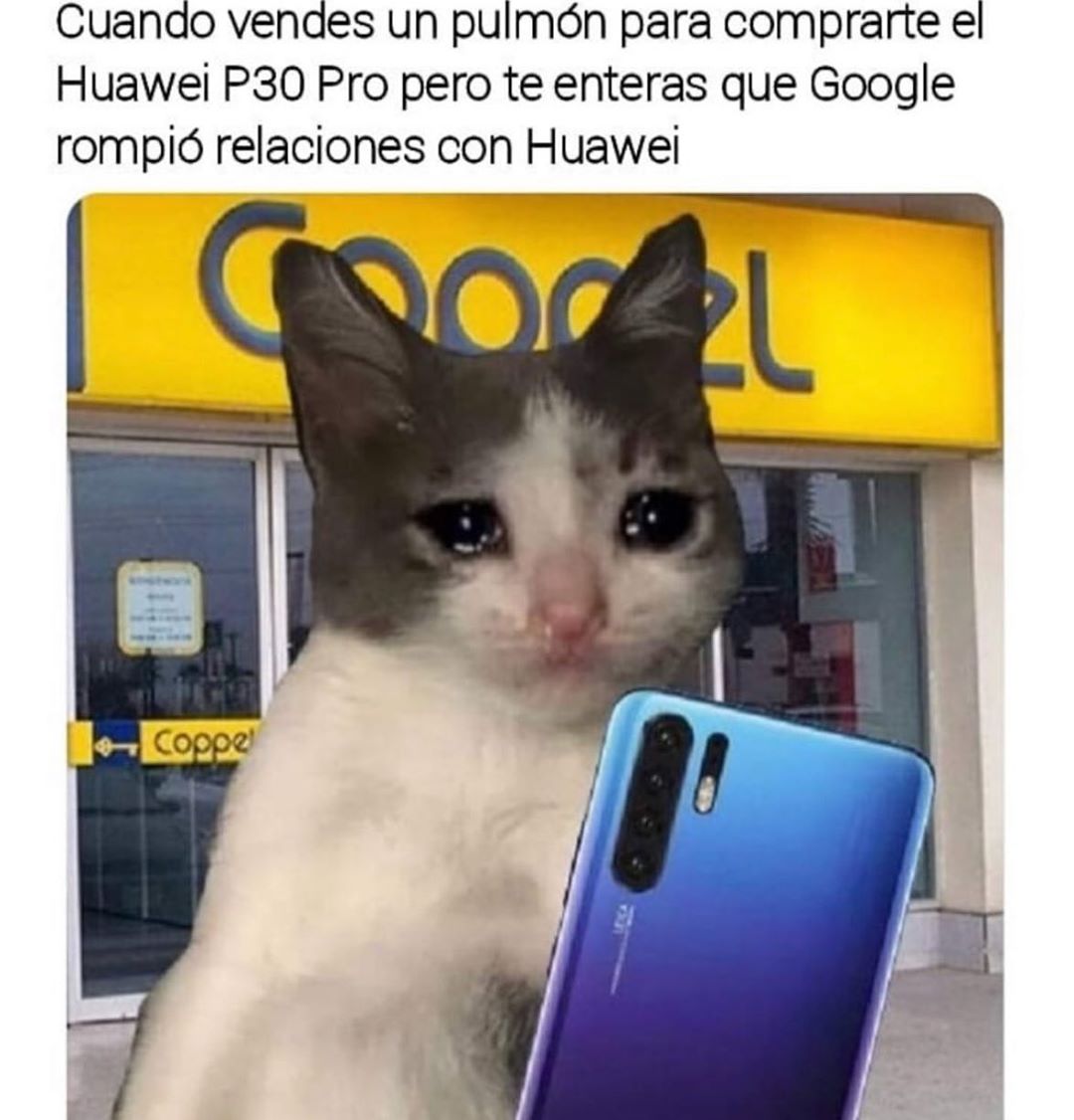 Cuando vendes un pulmón para comprarte el Huawei P30 Pro pero te enteras que Google rompió relaciones con Huawei.