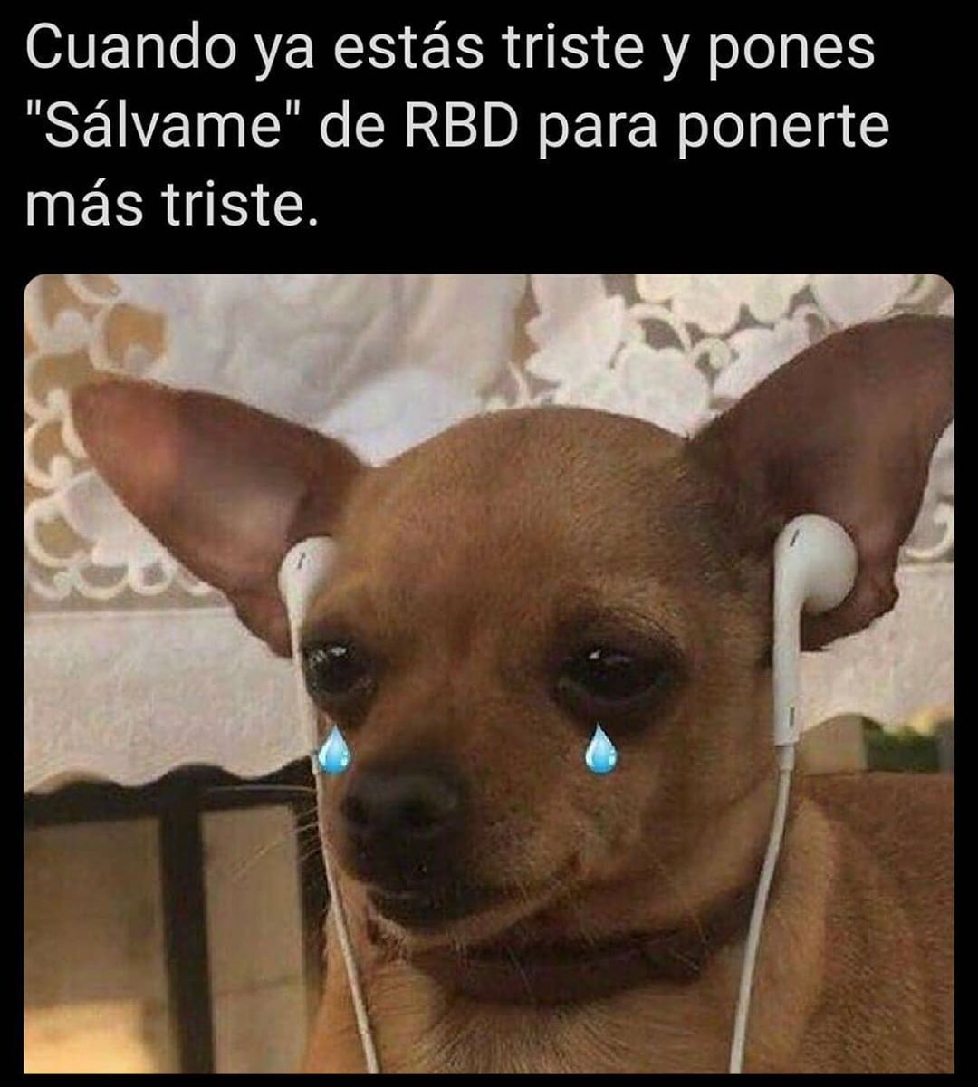 Cuando ya estás triste y pones "Sálvame" de RBD para ponerte más triste.