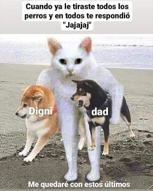 Cuando ya le tiraste todos los perros y en todos te respondió "Jajajaj".  Dignidad. Me quedaré con estos últimos.
