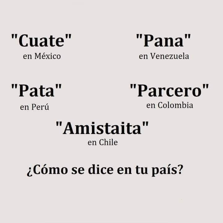 "Cuate" en México.  "Pata" en Perú.  "Pana" en Venezuela.  "Parcero" en Colombia.  "Amistaita" en Chile.  ¿Cómo se dice en tu país?