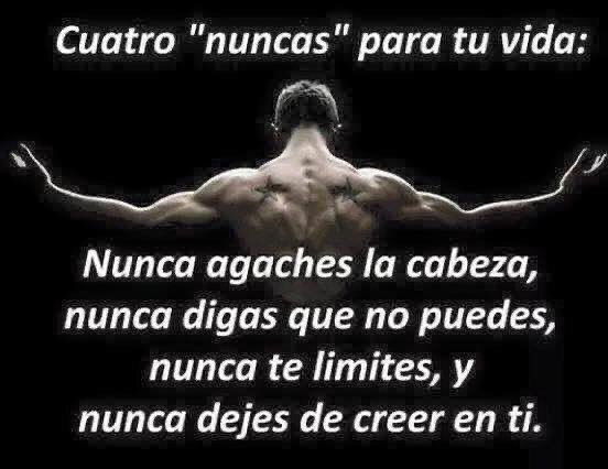 Cuatro Nuncas Para Tu Vida Nunca Agaches La Cabeza Nunca Digas Que No Puedes Nunca Te 7467