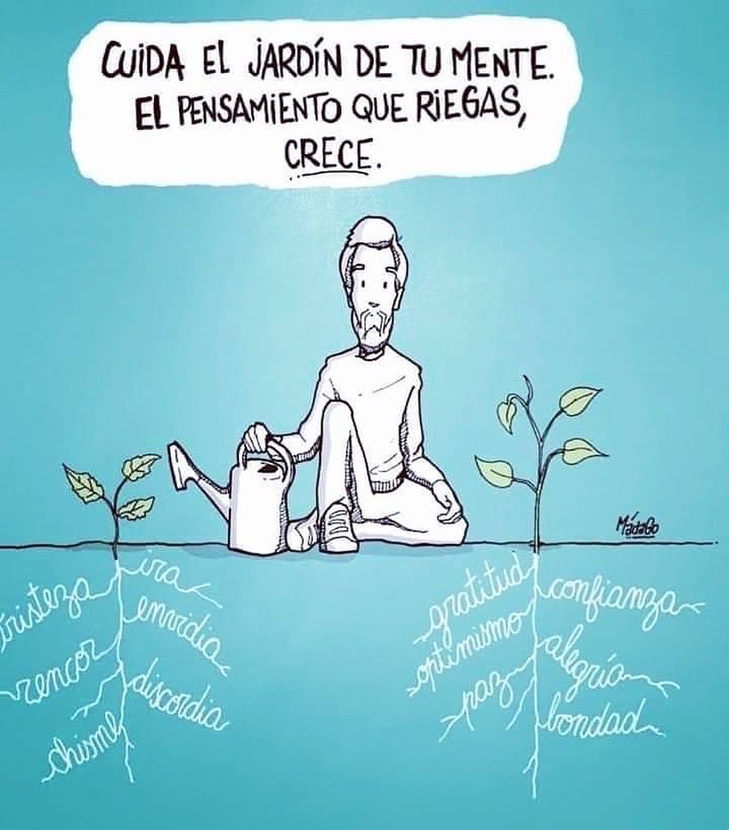 Cuida el jardín de tu mente. El pensamiento que riegas crece.