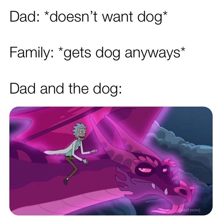 Dad: *doesn't want dog* Family: *gets dog anyways* Dad and the dog: - Funny