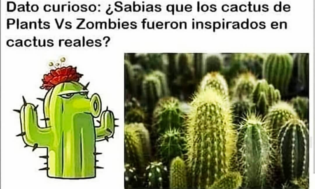 Dato curioso: ¿Sabías que los cactus de Plants Vs Zombies fueron inspirados en cactus reales?