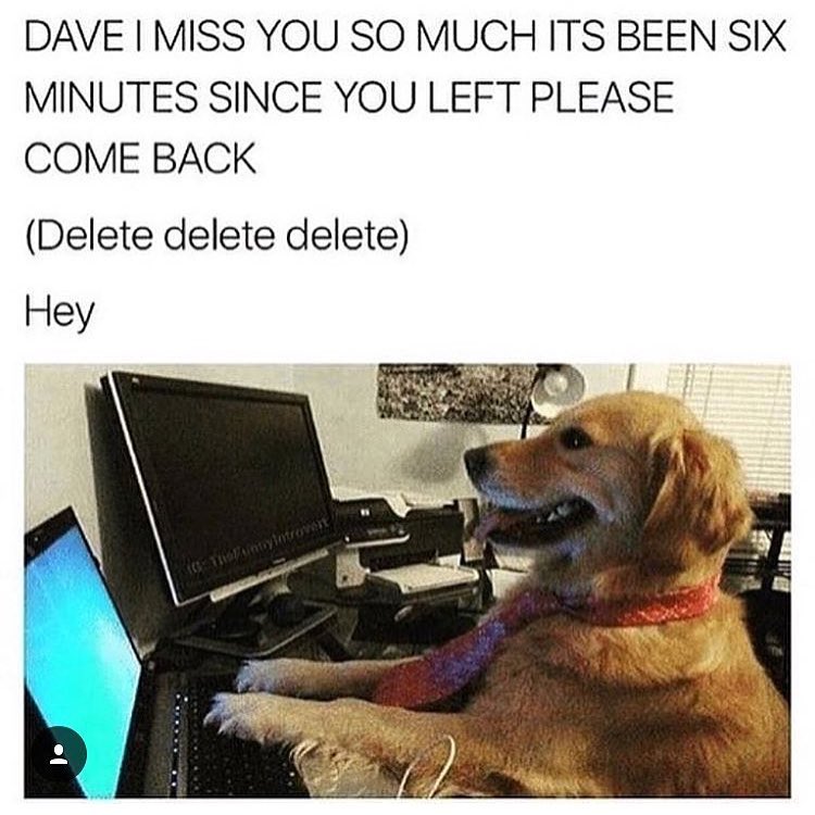 Dave i miss you so much its been six minutes since you left please come back (delete delete delete) Hey.