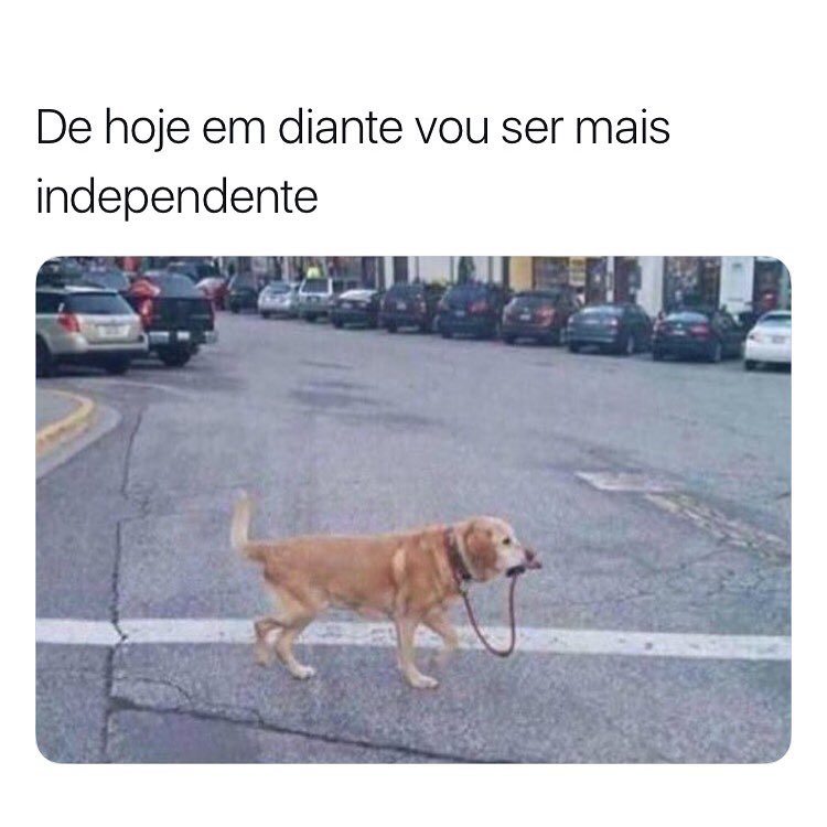 De hoje em diante vou ser mais independente.