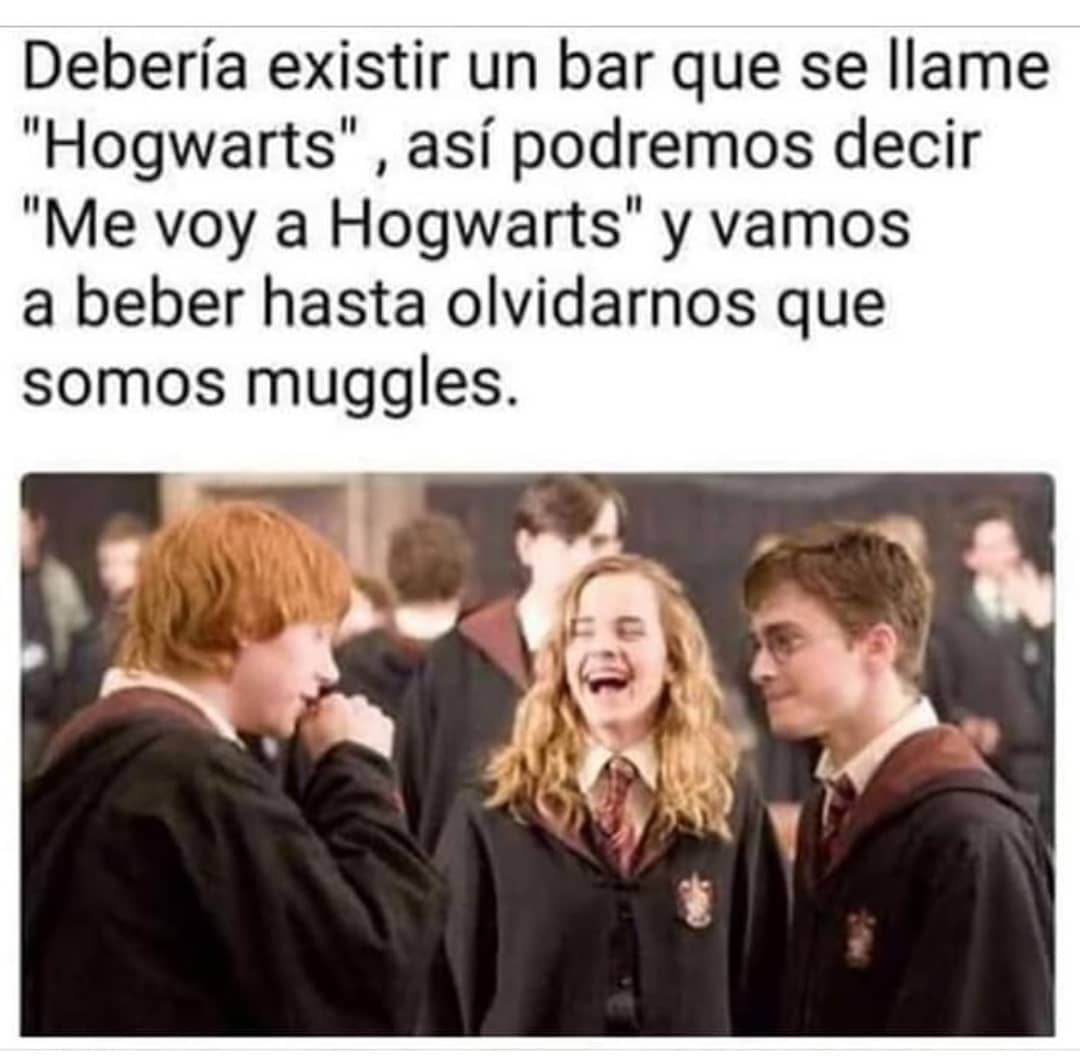 Debería existir un bar que se llame "Hogwarts", así podremos decir "Me voy a Hogwarts" y vamos a beber hasta olvidarnos que somos muggles.