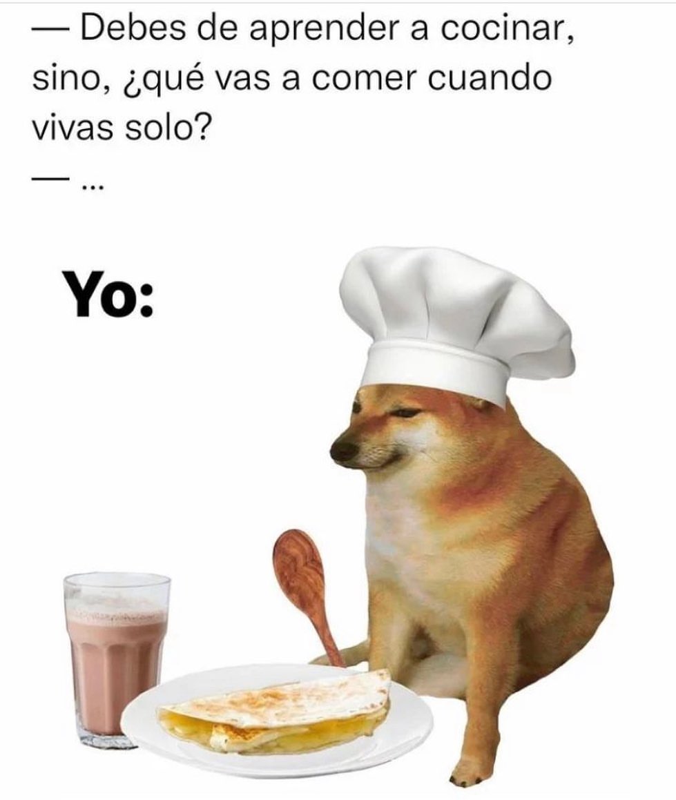 Debes De Aprender A Cocinar, Sino, ¿qué Vas A Comer Cuando Vivas Solo ...