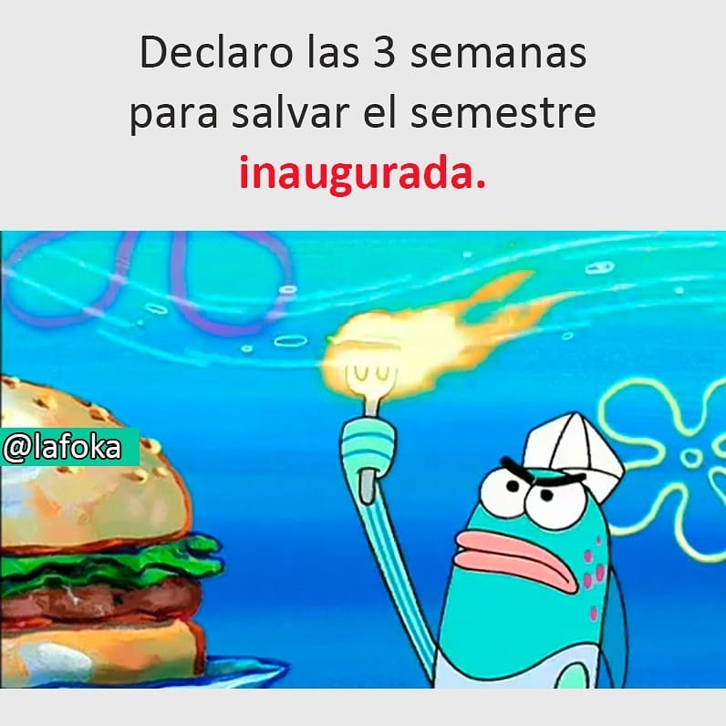 Declaro Las 3 Semanas Para Salvar El Semestre Inaugurada Memes 8784