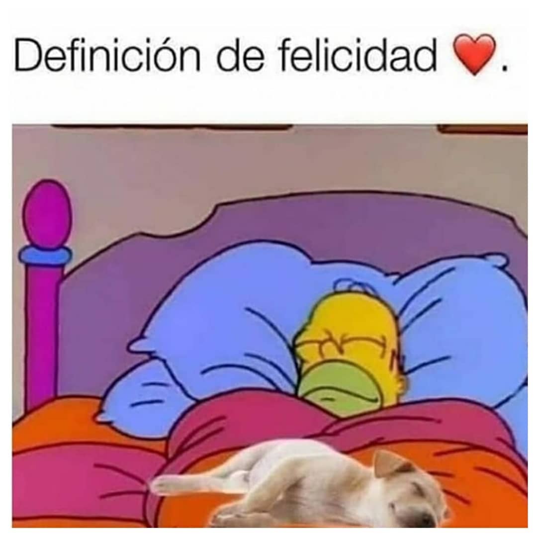 Definición de felicidad.