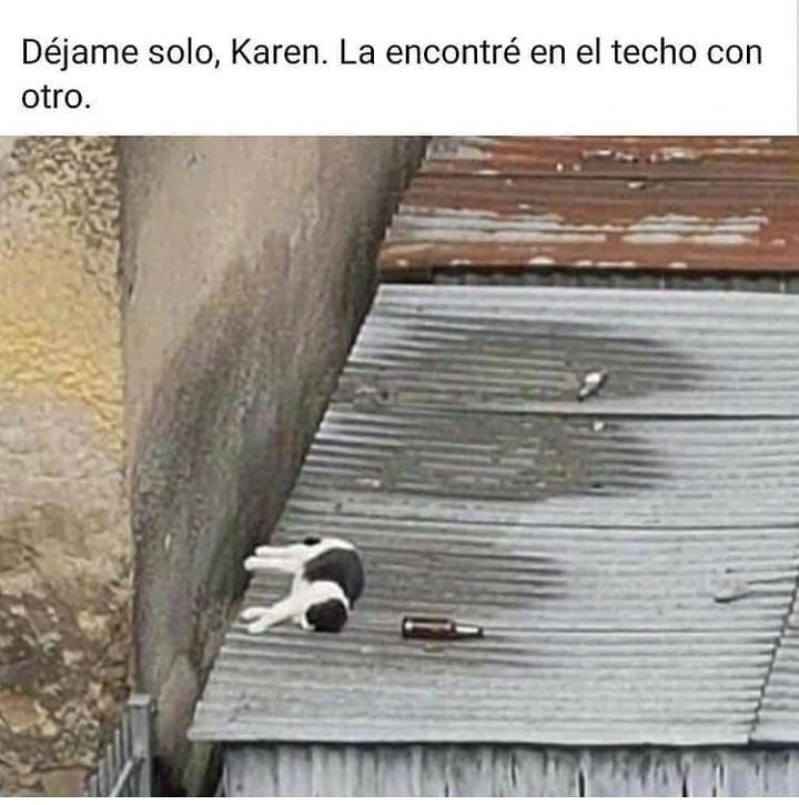 Déjame solo, Karen. La encontré en el techo con otro.