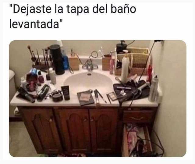 "Dejaste la tapa del baño levantada".