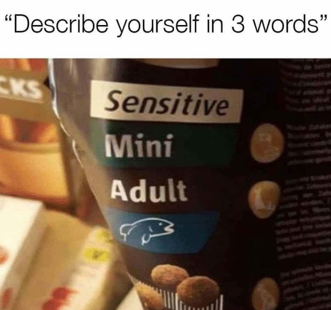  Describe Yourself In 3 Words Sensitive Mini Adult Funny