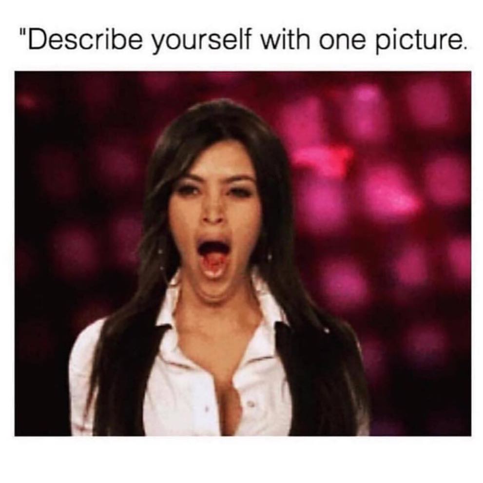 Describe Yourself With One Picture Funny