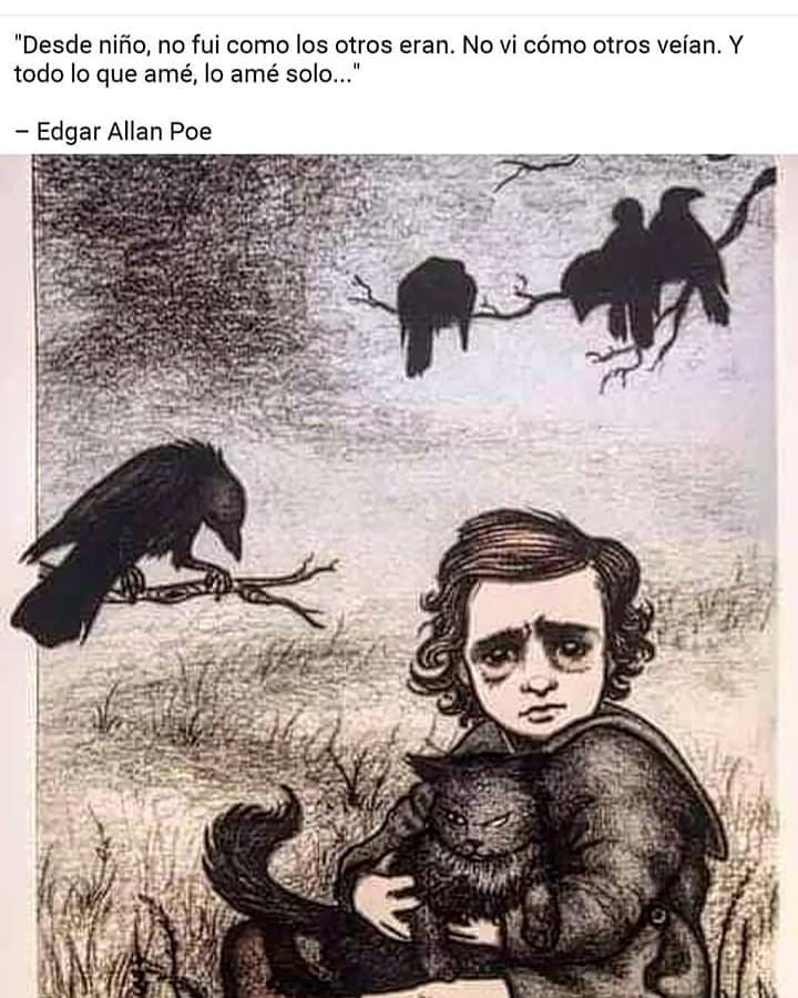 "Desde niño, no fui como los otros eran. No vi cómo otros veían. Y todo lo que amé, lo amé solo..."  Edgar Allan Poe