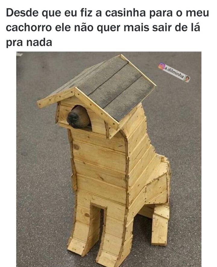 Desde que eu fiz a casinha para o meu cachorro ele não quer mais sair de lá pra nada.