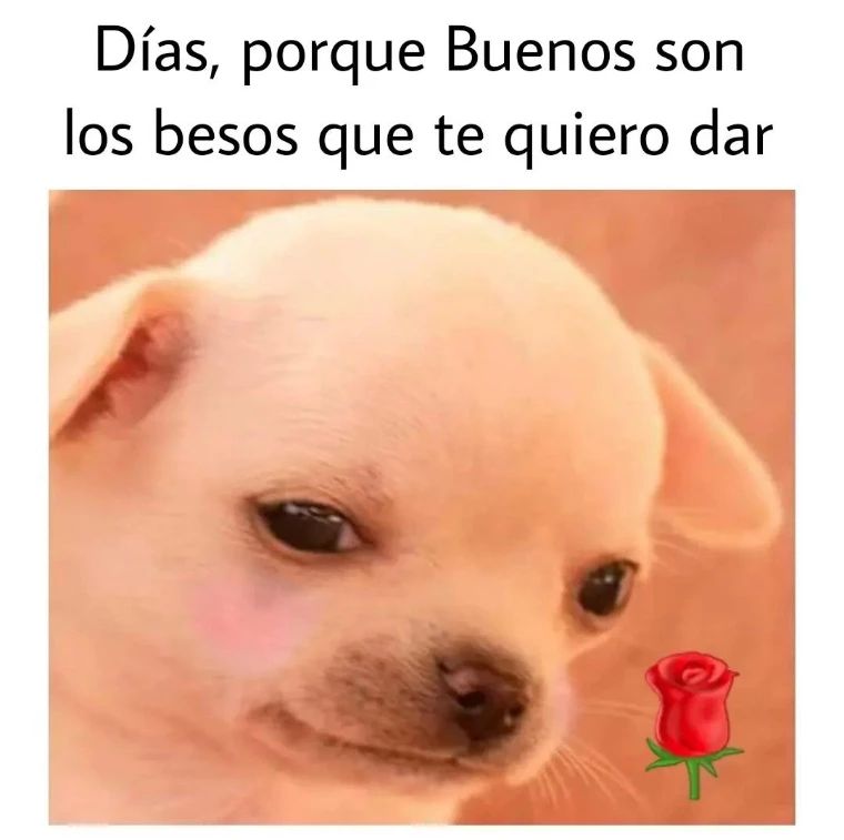 días porque buenos son los besos que te quiero dar memes