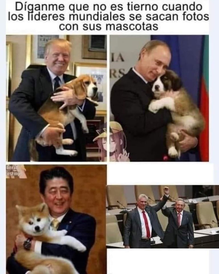 Díganme que no es tierno cuando los líderes mundiales se sacan fotos con sus mascotas.