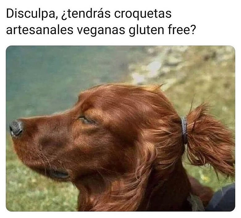 Disculpa, ¿tendrás croquetas artesanales veganas gluten free?