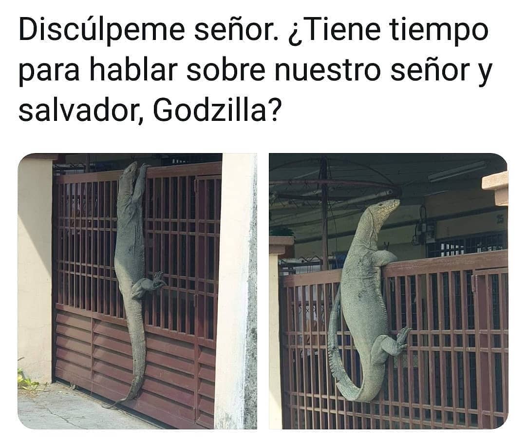 Discúlpeme señor. ¿Tiene tiempo para hablar sobre nuestro señor y salvador, Godzilla?
