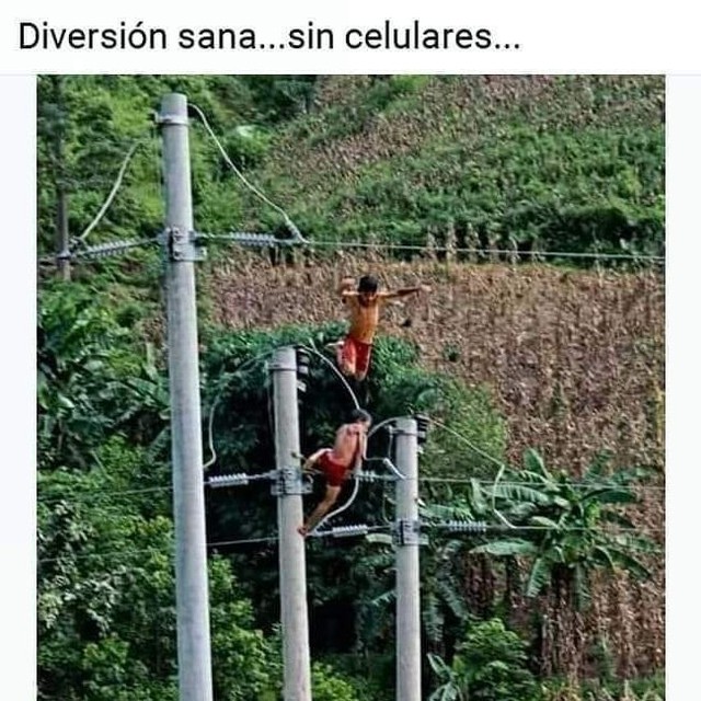 Diversión sana... sin celulares...