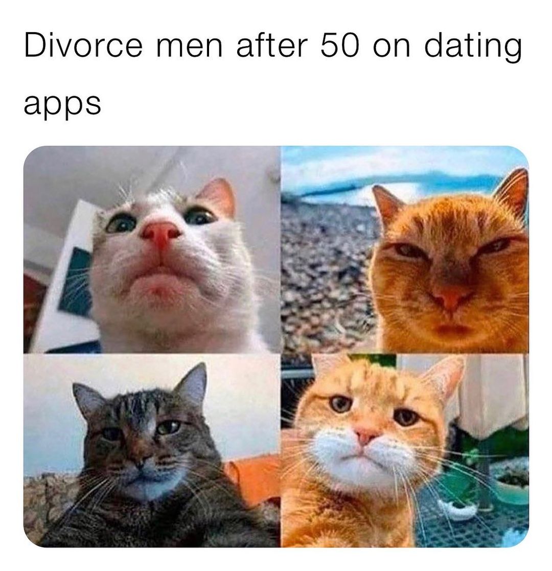 Divorce men after 50 on dating apps.