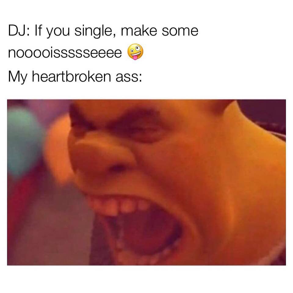 DJ: If you single, make some nooooissssseeee. My heartbroken ass: