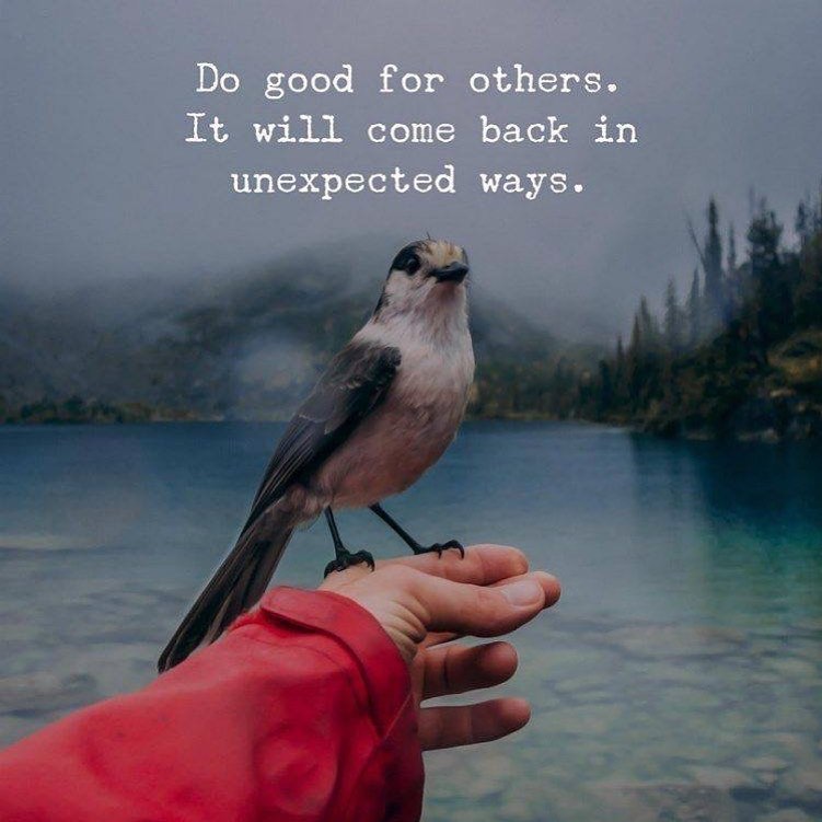 Do good for others. It will come back to you in unexpected ways. Phrases