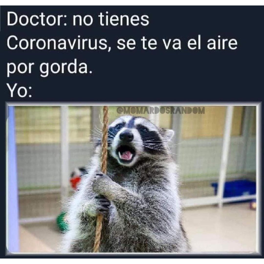 Doctor: No tienes Coronavirus, se te va el aire por gorda. Yo: