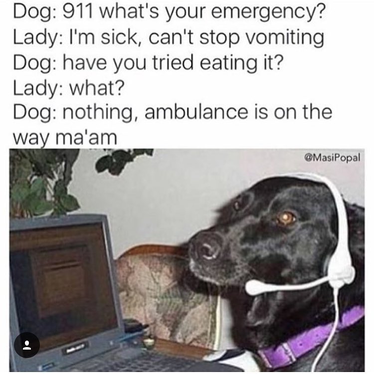 Dog: 911 what's your emergency?  Lady: I'm sick, can't stop vomiting.  Dog: have you tried eating it?  Lady: what?  Dog: nothing, ambulance is on the way ma'am.