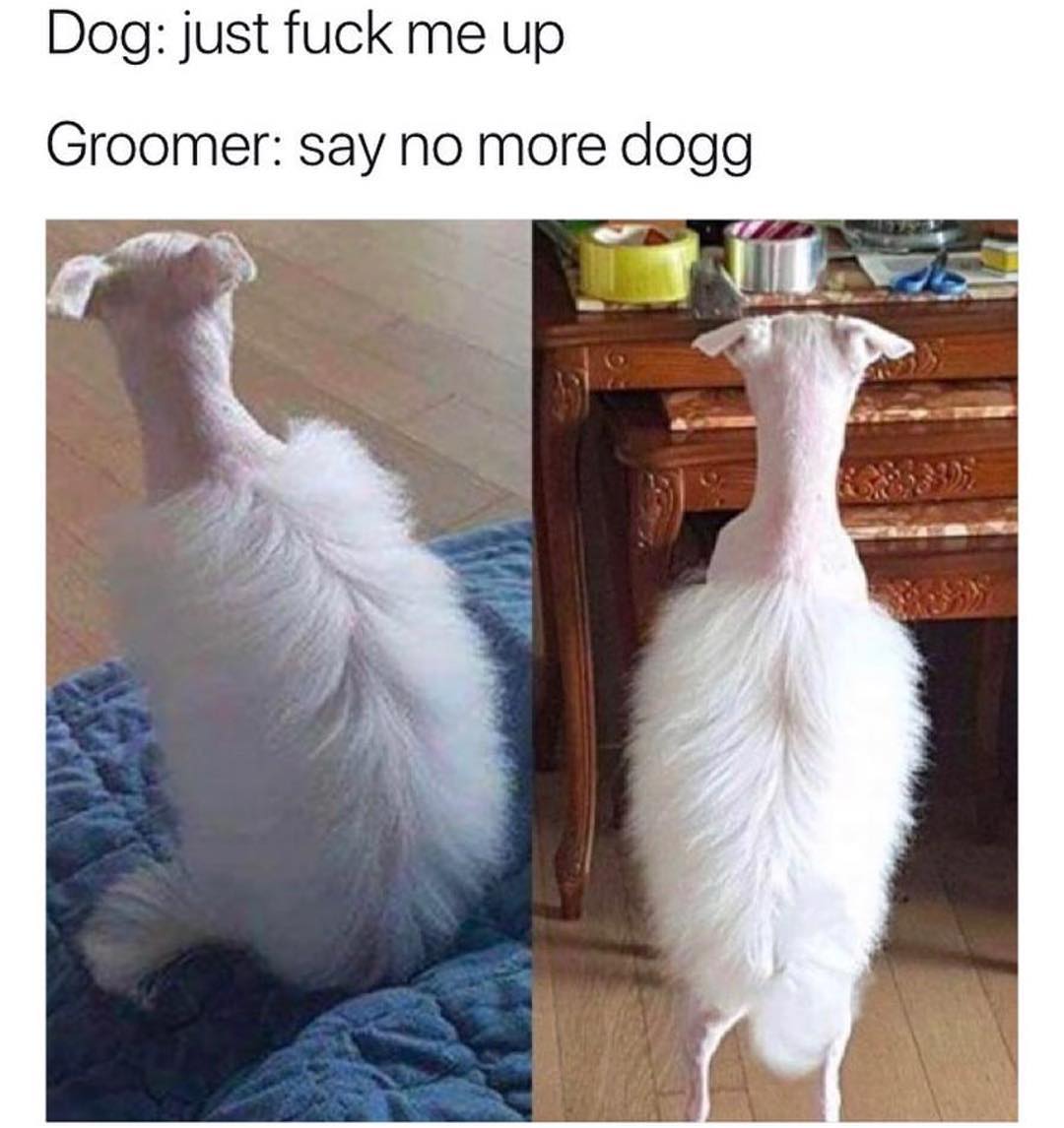 Dog: just fuck me up.  Groomer: say no more dogg.