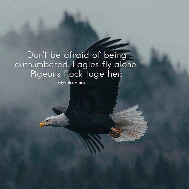 Don't be afraid of being outnumbered. Eagles fly alone. Pigeons flock together.