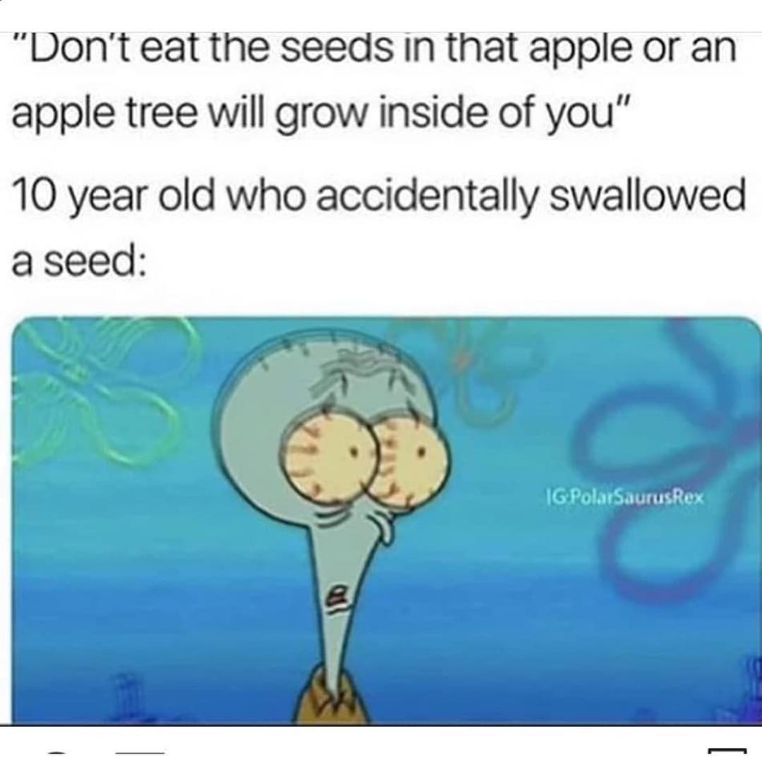 "Don't eat the seeds In that apple or an apple tree will grow inside of you" 10 year old who accidentally swallowed a seed: