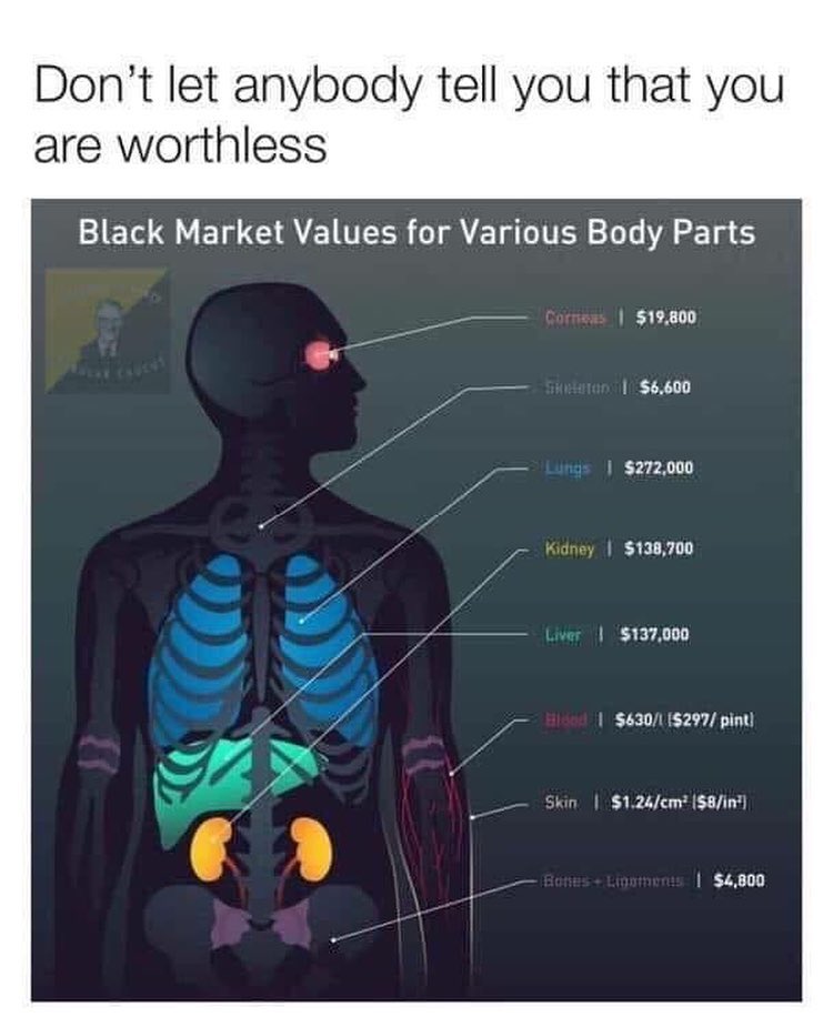Don't let anybody tell you that you are worthless. Black Market Values for Various Body Parts.