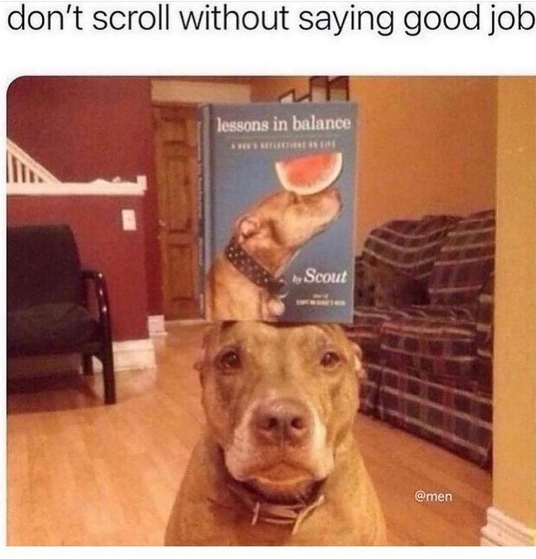 Don't scroll without saying good job.
