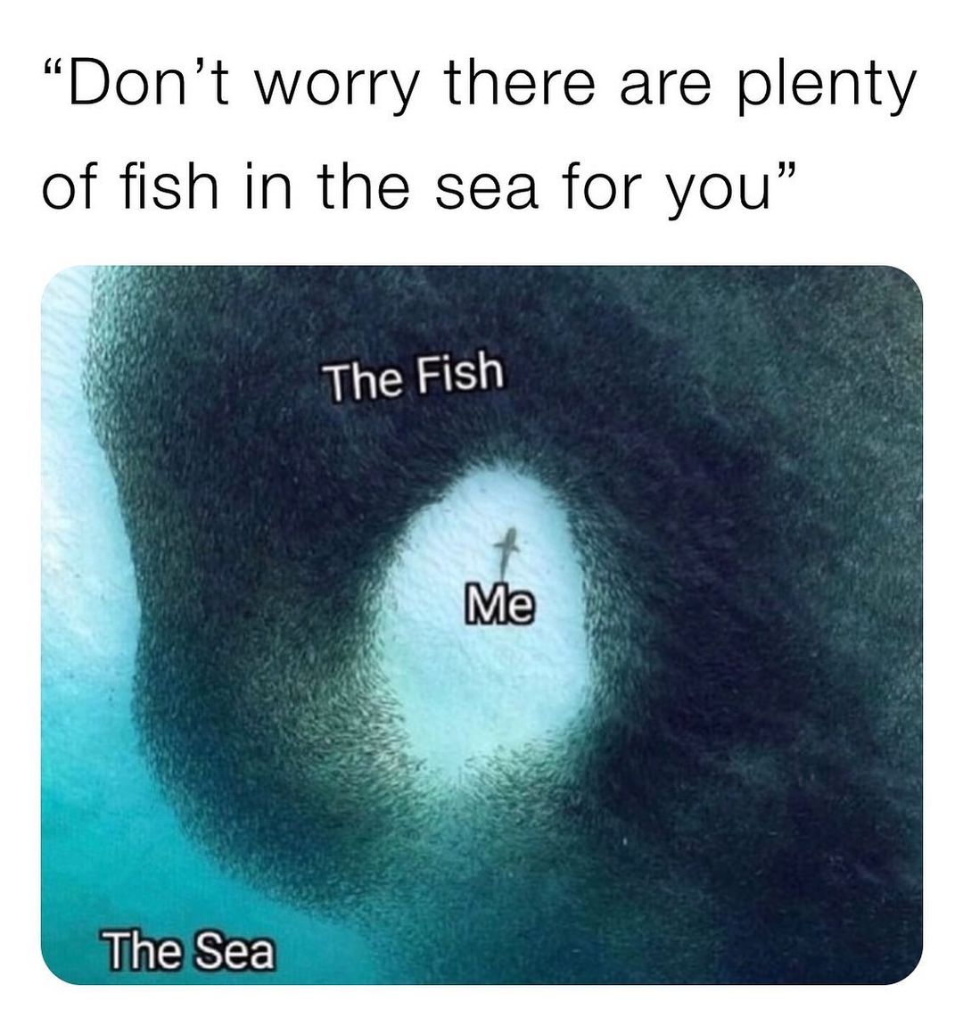 "Don't worry there are plenty of fish in the sea for you" The Fish. Me. The sea.