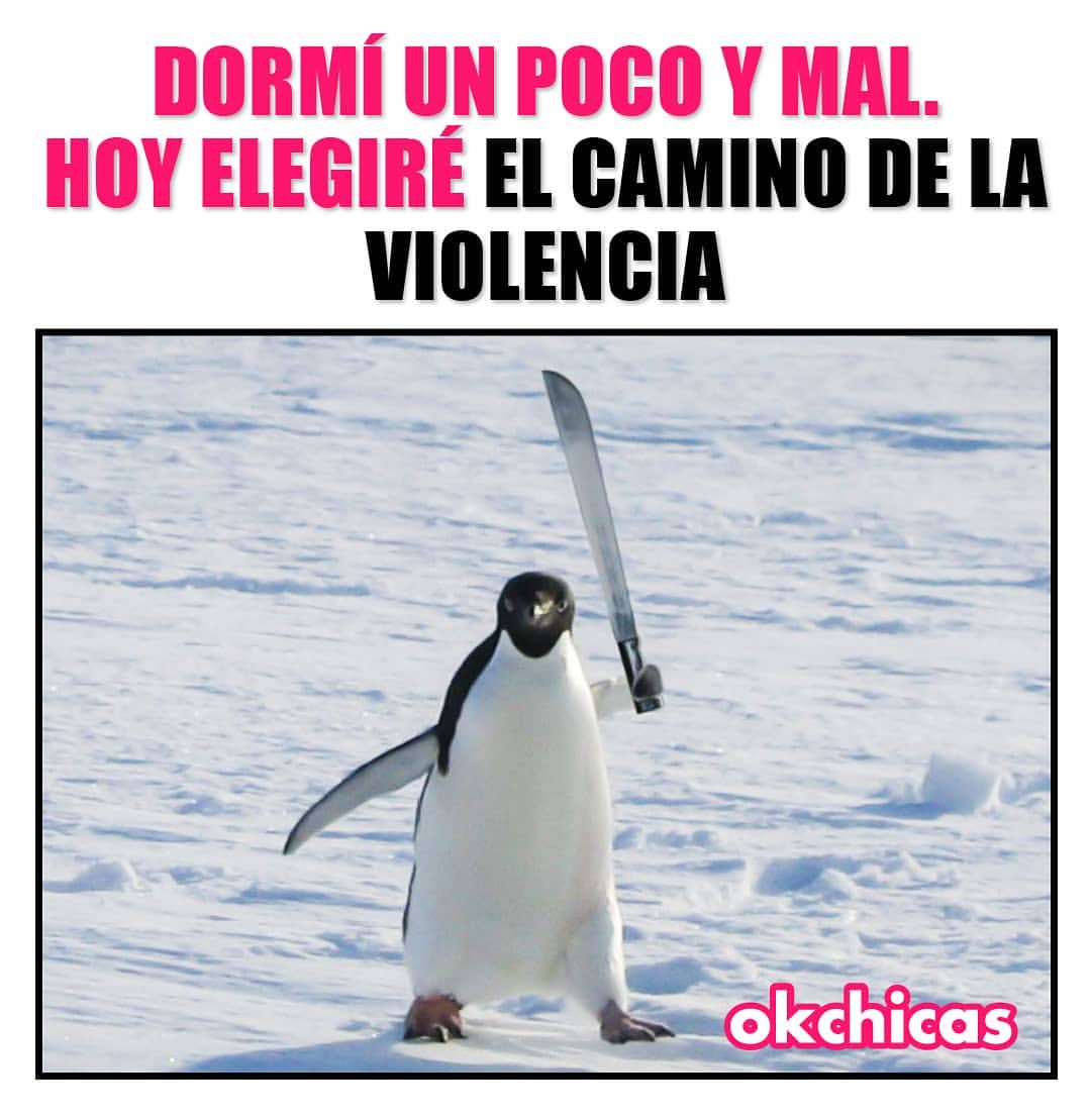 Dormí un poco y mal. Hoy elegiré el camino de la violencia.