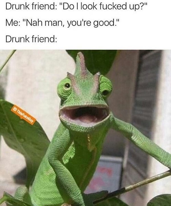 Drunk friend: 'Do I look fucked up?" Me: "Nah man, you're good." Drunk friend: