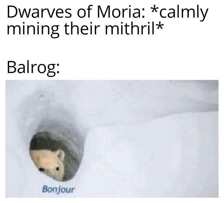 Dwarves of Moria: *Calmly mining their mithril* Balrog: Bonjour.