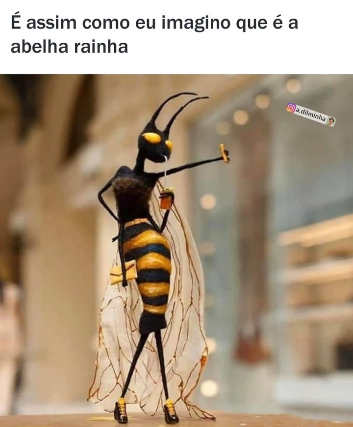 Assim Como Eu Imagino Que A Abelha Rainha Memes