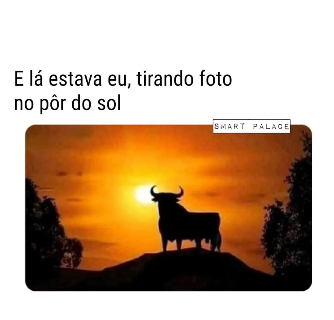 E lá estava eu, tirando foto no pôr do sol.