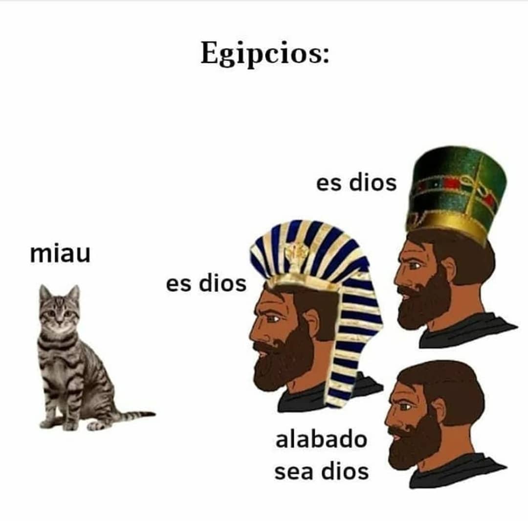 Egipcios: Miau. Es dios. Es dios. Alabado sea dios.