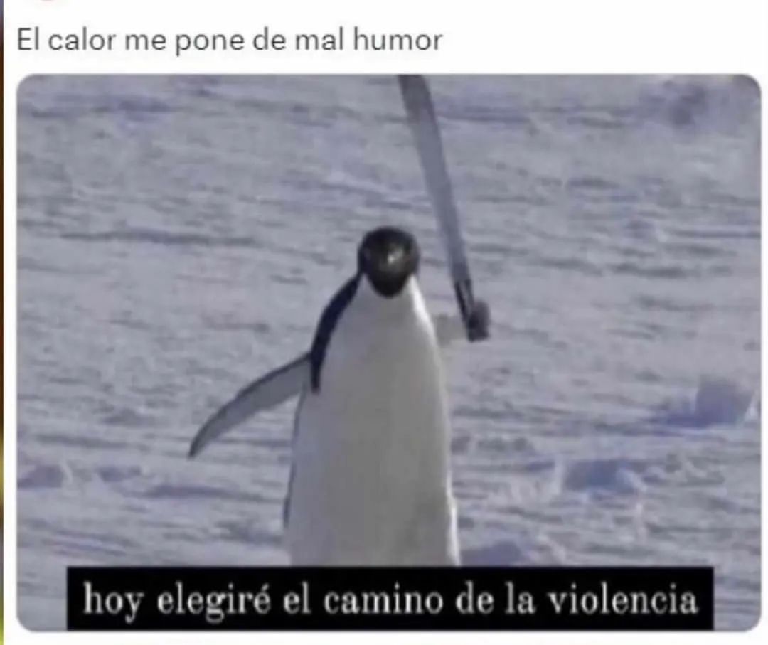 EI calor me pone de mal humor hoy elegiré el camino de la violencia.