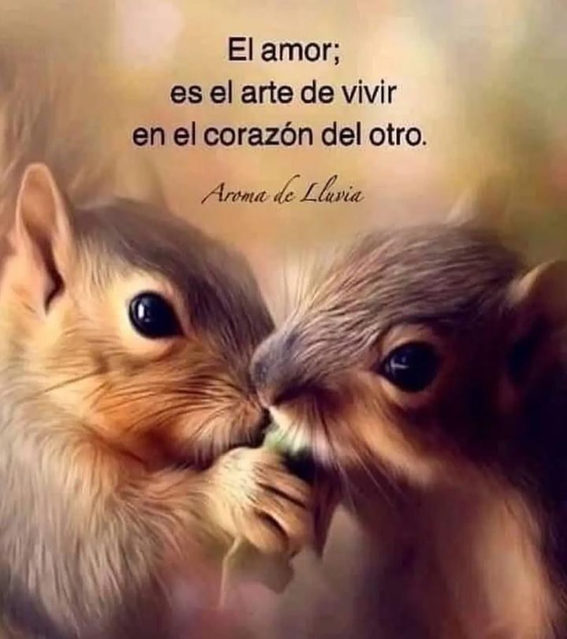 El amor; es el arte de vivir en el corazón del otro. - Frases