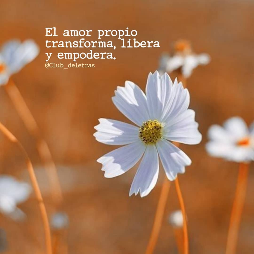 El amor propio transforma, libera y empodera. - Frases