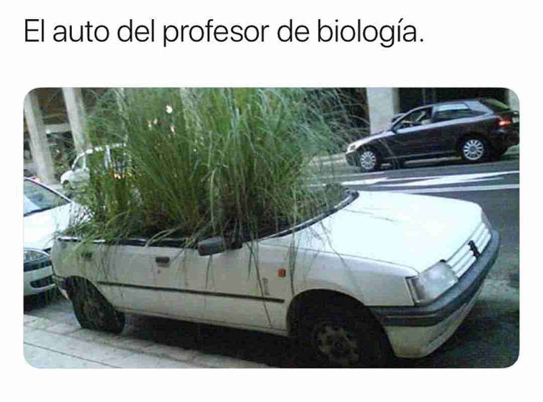 El auto del profesor de biología.