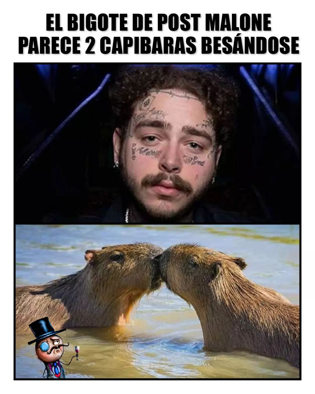 El bigote de Post Malone parece 2 capibaras besándose.