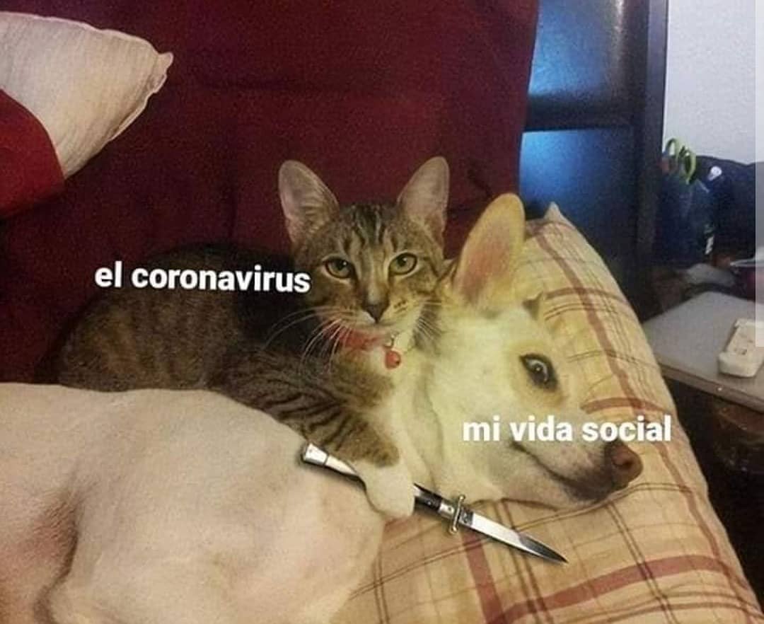 El coronavirus. / Mi vida social.